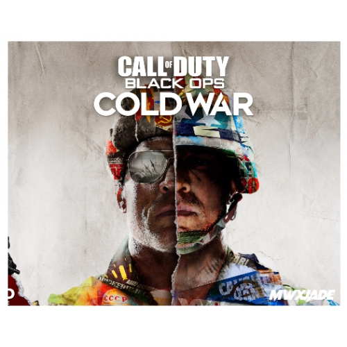  Call of Duty Black Ops Cold War + PS4PS5